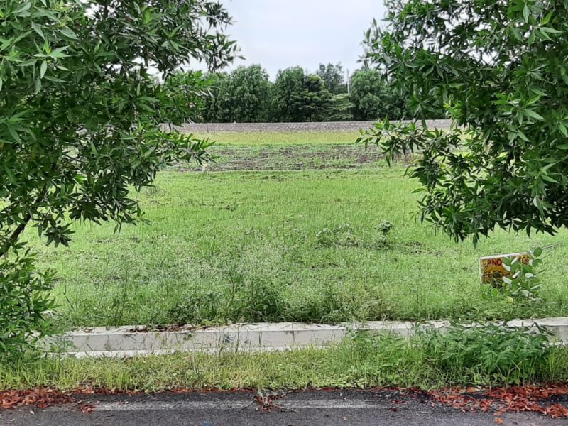 WhatsApp Image 2024-07-06 at 13.50.33_322e3f5a