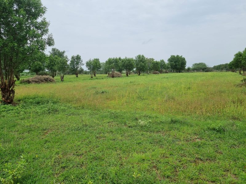 WhatsApp Image 2024-07-06 at 13.52.12_12a26f7c